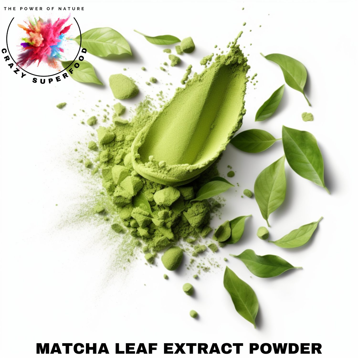 EXTRAIT DE MATCHA EN POUDRE