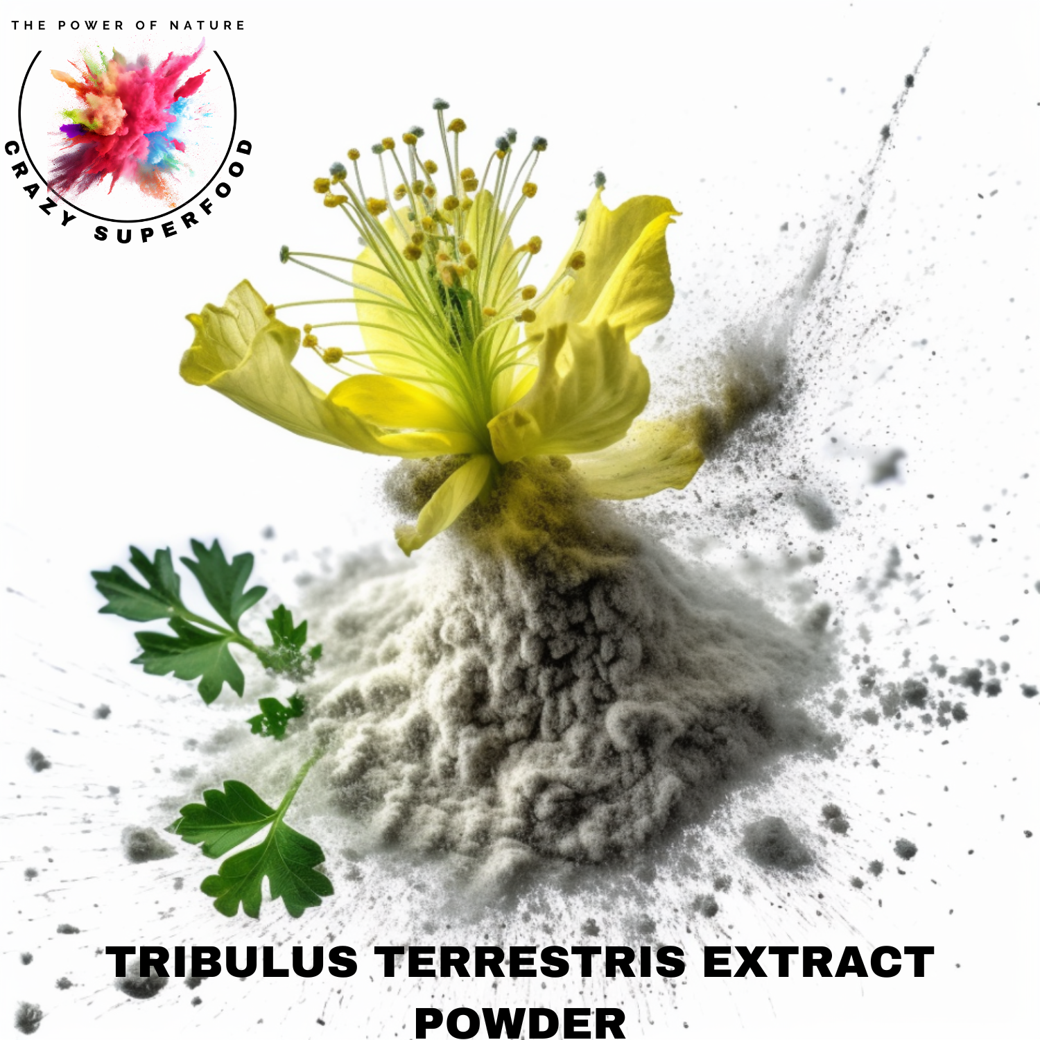 EXTRAIT DE TRIBULUS TERRSTRIS