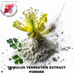 Charger l&#39;image dans la galerie, EXTRAIT DE TRIBULUS TERRSTRIS
